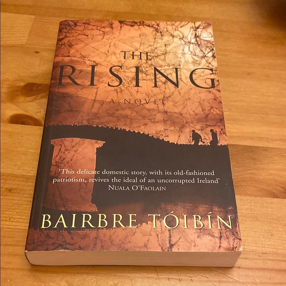 The Rising: A Novel by Bairbre Toibin Paperback Book